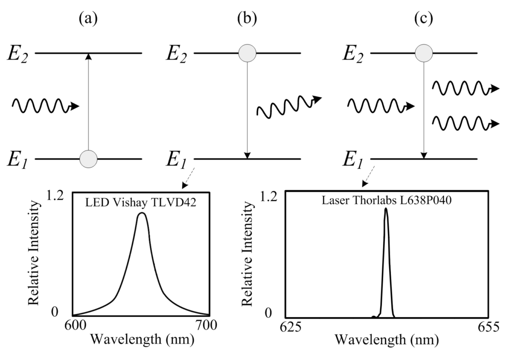 Fundamental processes ocurring in laser atoms and associated spectra. (Procesos fundamentales que ocurren en los átomos láser y espectros asociados.) 